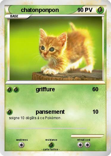 Pokemon chatonponpon