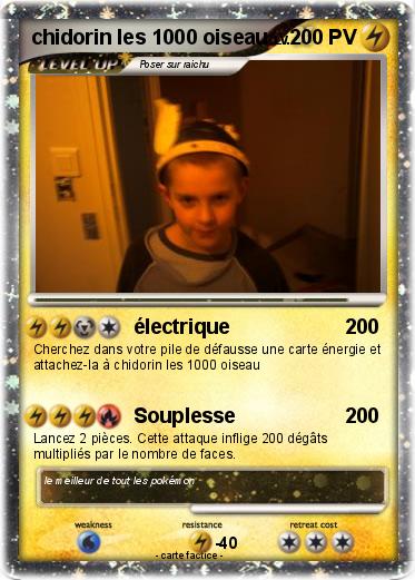 Pokemon chidorin les 1000 oiseau