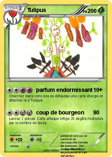 Pokemon Tulipus