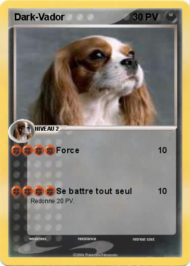 Pokemon Dark-Vador