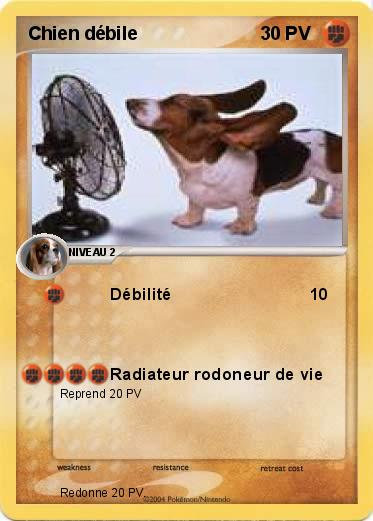 Pokemon Chien débile