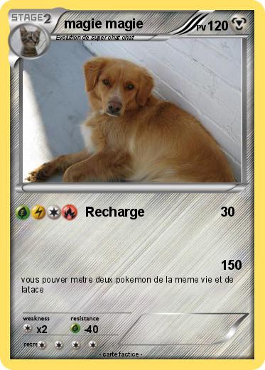 Pokemon magie magie