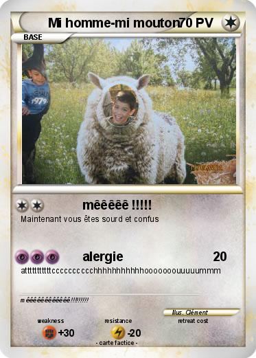 Pokemon Mi homme-mi mouton