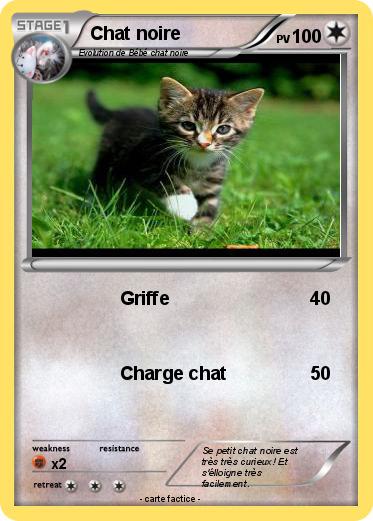 Pokemon Chat noire