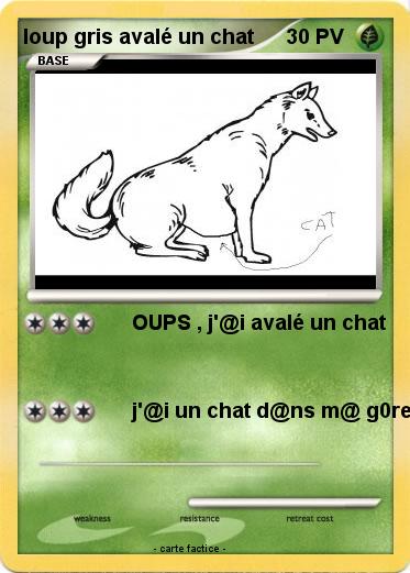 Pokemon loup gris avalé un chat