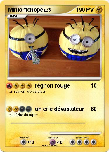 Pokemon Miniontchope