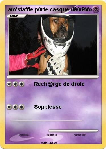 Pokemon am'staffie p0rte casque de moto