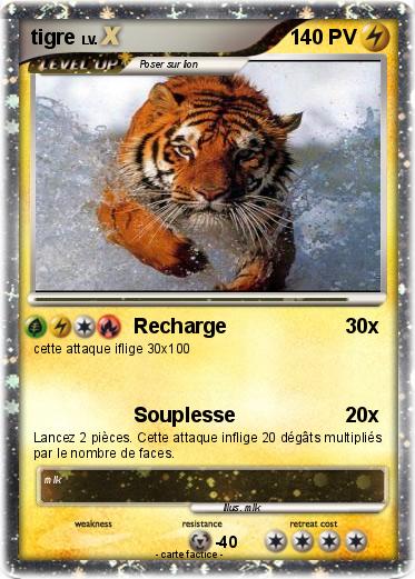 Pokemon tigre