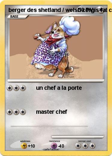 Pokemon berger des shetland / welsh corgis fat chef