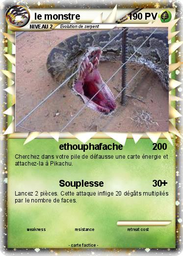 Pokemon le monstre
