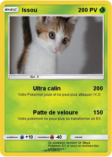Pokemon Issou