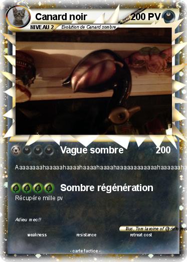 Pokemon Canard noir