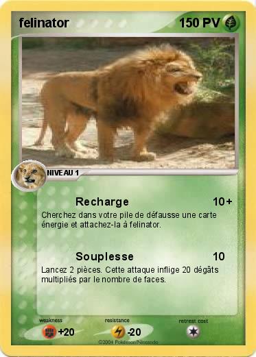 Pokemon felinator