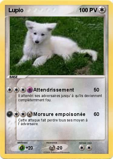 Pokemon Lupio
