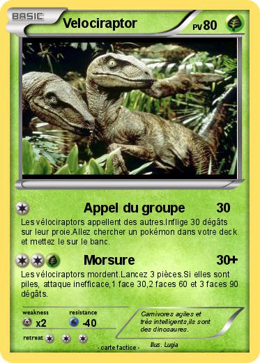 Pokemon Velociraptor