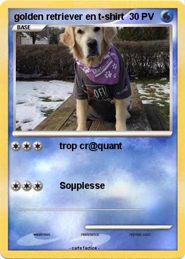 Pokemon golden retriever en t-shirt