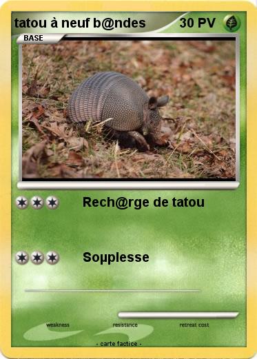 Pokemon tatou à neuf b@ndes