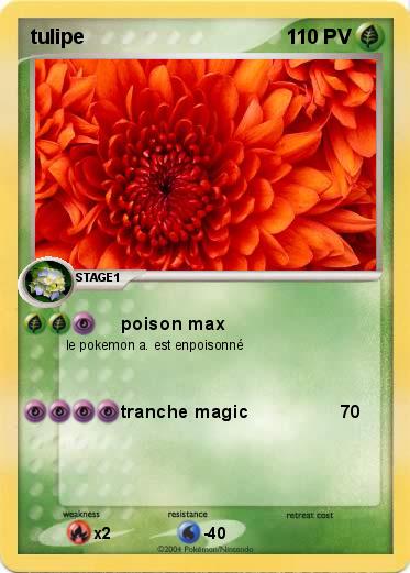 Pokemon tulipe