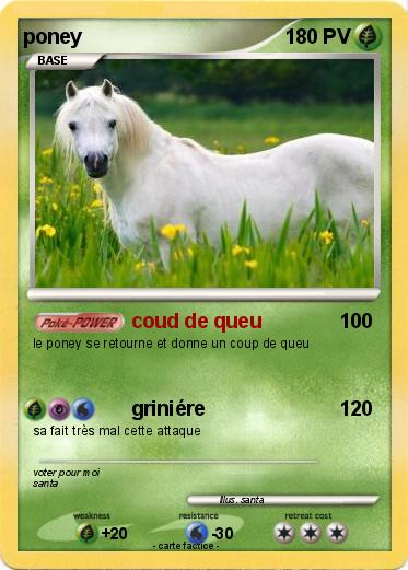 Pokemon poney