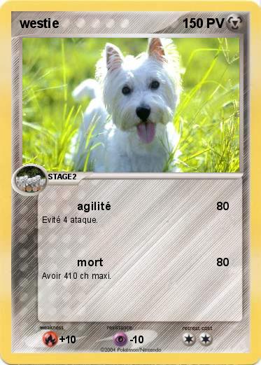 Pokemon westie