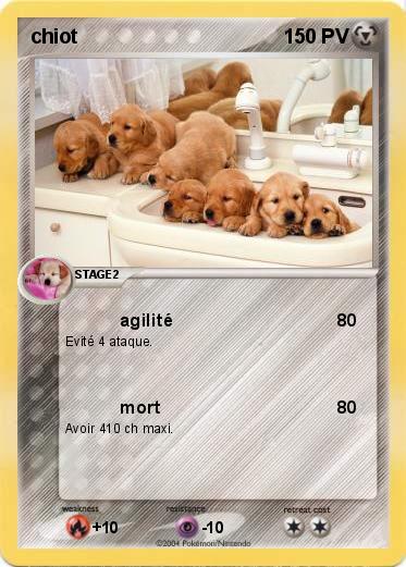 Pokemon chiot
