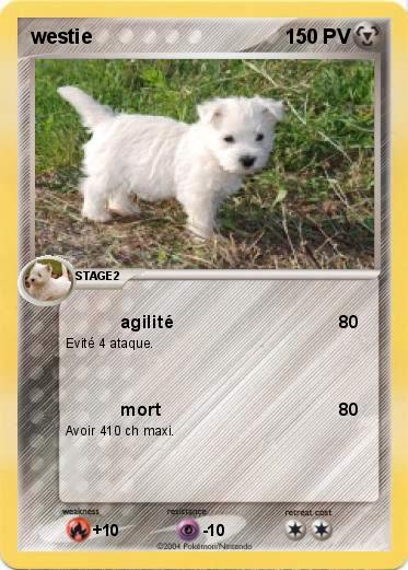 Pokemon westie