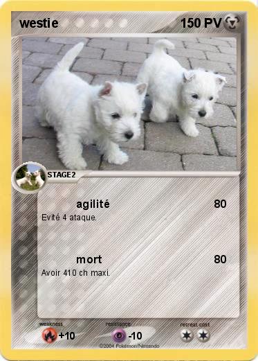 Pokemon westie