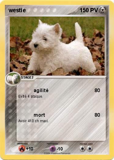Pokemon westie
