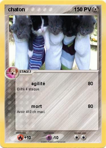 Pokemon chaton