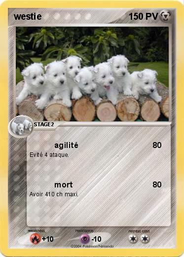 Pokemon westie