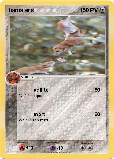 Pokemon hamsters