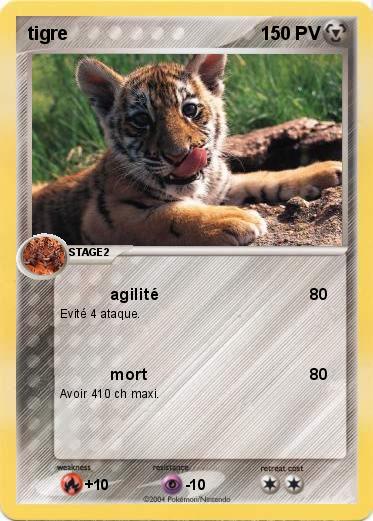 Pokemon tigre