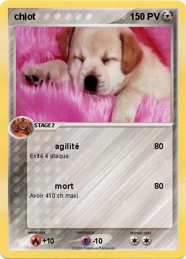 Pokemon chiot