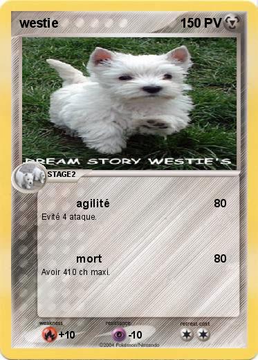 Pokemon westie