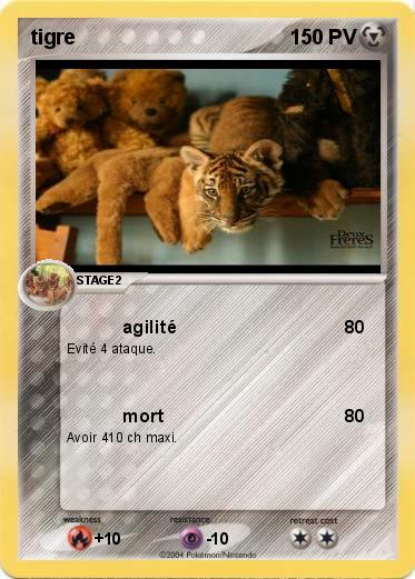 Pokemon tigre