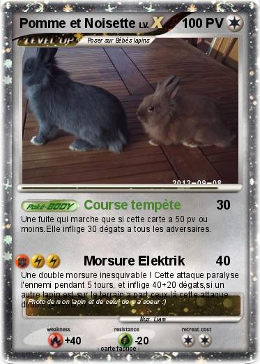 Pokemon Pomme et Noisette