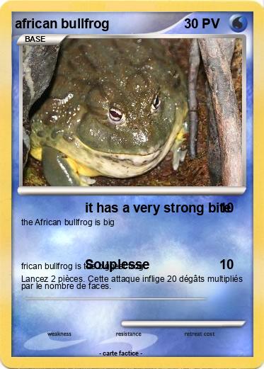 Pokemon african bullfrog