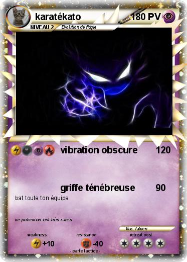 Pokemon karatékato