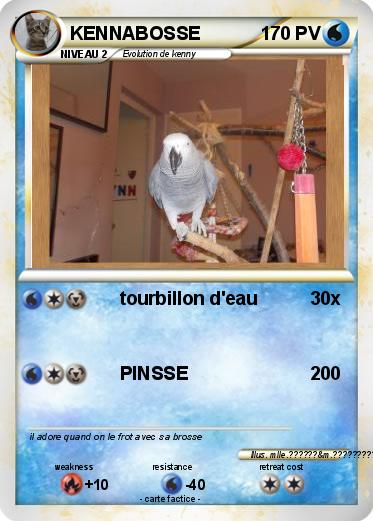 Pokemon KENNABOSSE