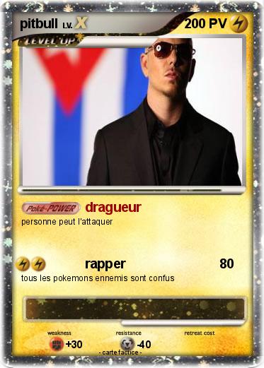 Pokemon pitbull