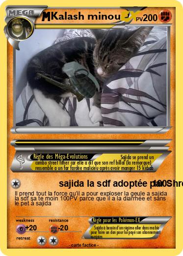 Pokemon Kalash minou