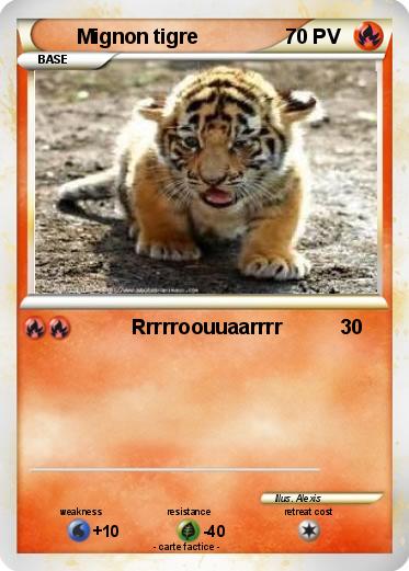 Pokemon Mignon tigre