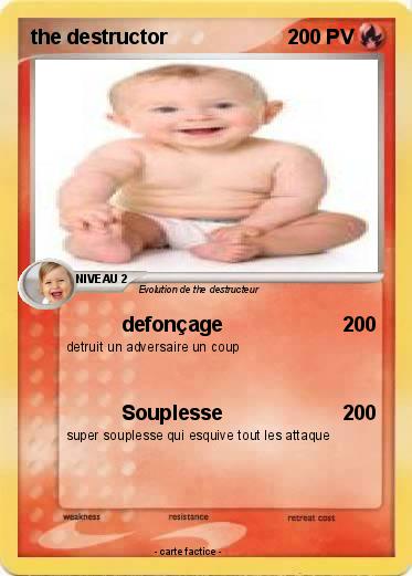 Pokemon the destructor