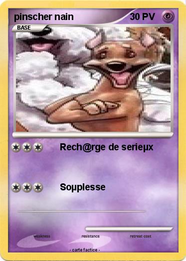 Pokemon pinscher nain