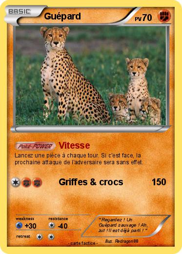 Pokemon Guépard