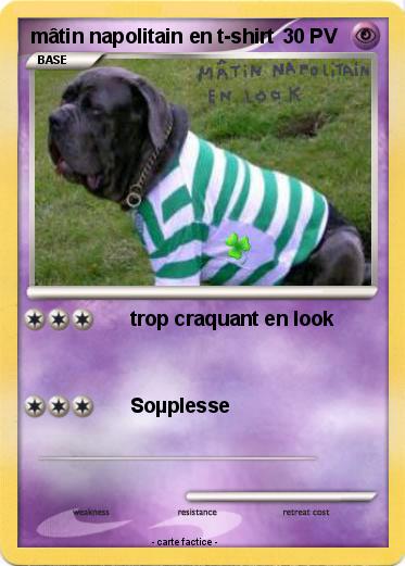 Pokemon mâtin napolitain en t-shirt