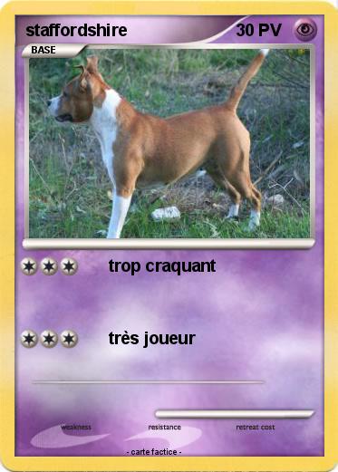 Pokemon staffordshire