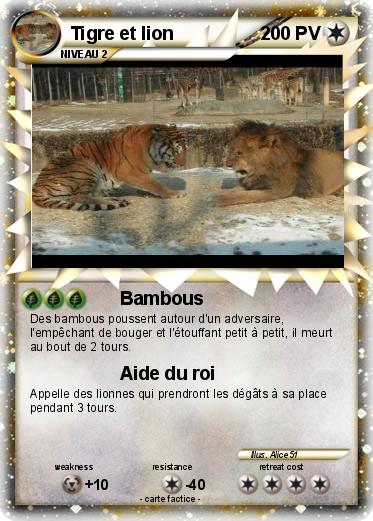 Pokemon Tigre et lion