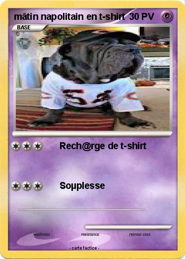 Pokemon mâtin napolitain en t-shirt