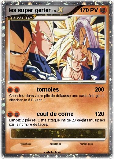 Pokemon les super gerier